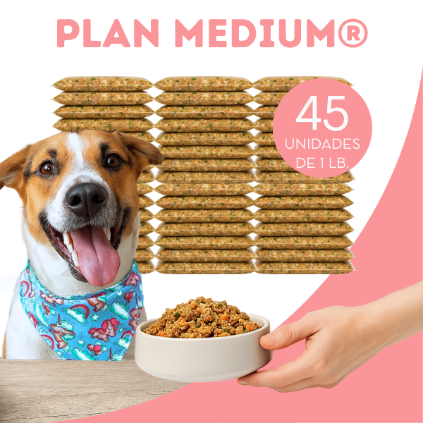 Plan Mensual Medium Alimento Natural OhMyDog Oh My Dog