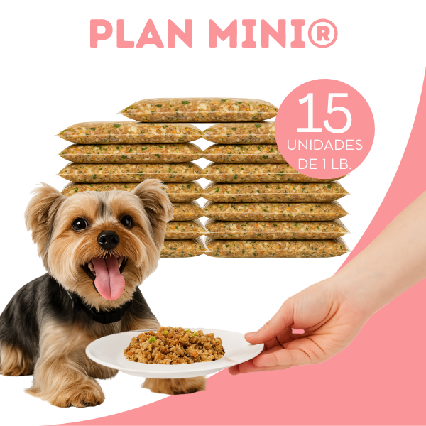 Plan Mensual Mini Alimento Natural OhMyDog Oh My Dog