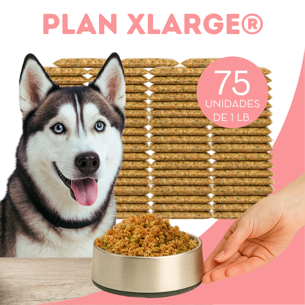 Plan Mensual XLarge Alimento Natural OhMyDog Oh My Dog