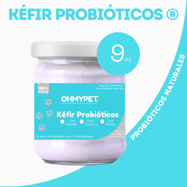 Complemento Kefir Probióticos para perros y gatos