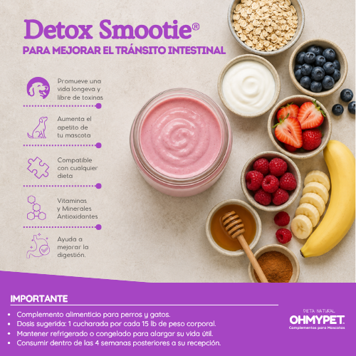 Detox Smoothie® - Imagen 4