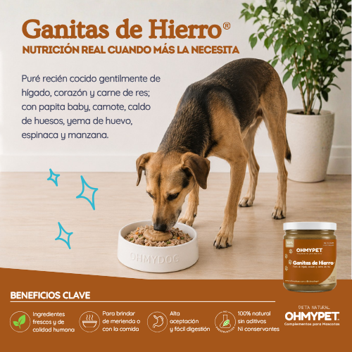 Ganitas de Hierro® - Imagen 2