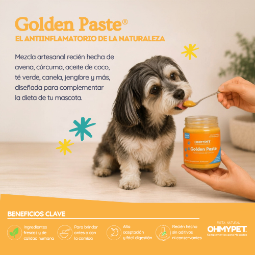 Golden Paste® - Imagen 2