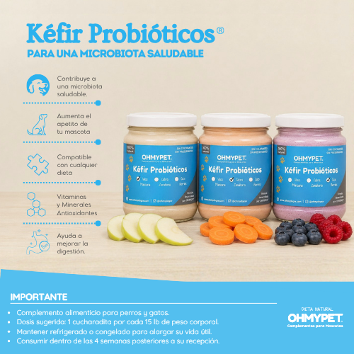 Kefir Probióticos® - Imagen 4