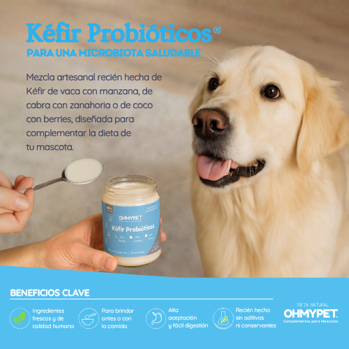 Kefir Probióticos® - Imagen 2