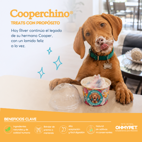 Cooperchino pupcup OHMYPET OHMYDOG El Salvador