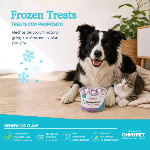 Frozen treats Blueberry para perros y gatos OHMYPET OHMYDOG El SALVADOR