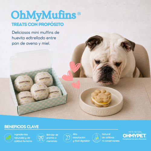OHMYBURGERS Hamburguesas para perro OHMYPET OHMYDOG EL SALVADOR