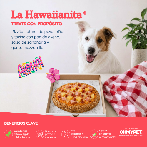 Pizza para mascotas perros y gatos OHMYDOG EL SALVADOR